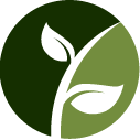 Arborvitae Shearing Pros