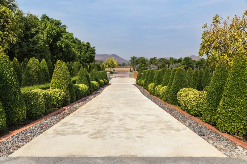 Decorative Shrubs with Symmetrical Shape